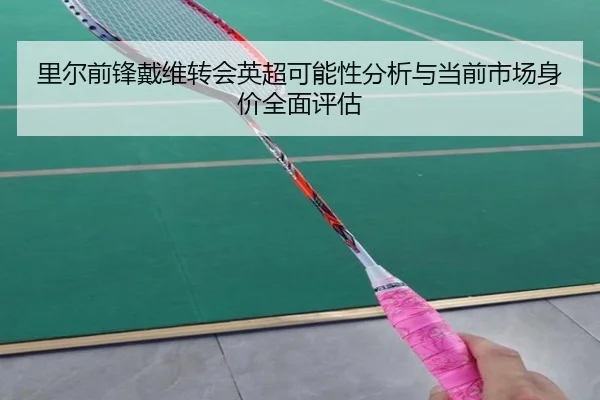 里尔前锋戴维转会英超可能性分析与当前市场身价全面评估
