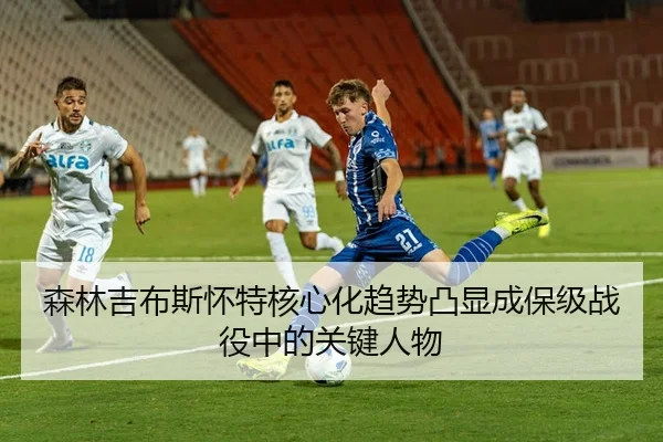 森林吉布斯怀特核心化趋势凸显成保级战役中的关键人物
