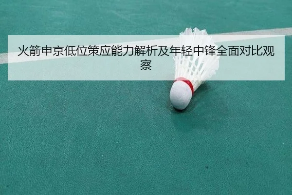 火箭申京低位策应能力解析及年轻中锋全面对比观察
